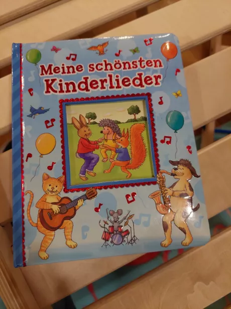 Meine schönsten Kinderlieder