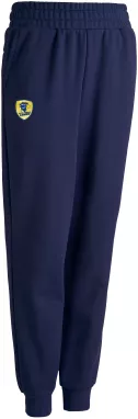 Löwen Freizeithose PUMA | Rhein-Neckar Löwen