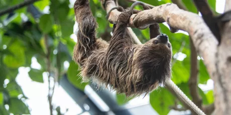 Tierpark Chemnitz Jahreskarte