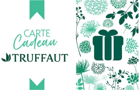 Bon d'achat chez Truffaut