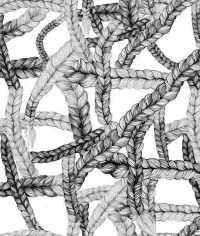 Bio Babymode online | Babydecke Braid jetzt entdecken - mustikka.ch