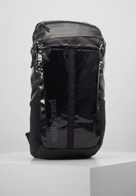 Patagonia BLACK HOLE PACK 25L - Tagesrucksack - black/schwarz - Zalando.de